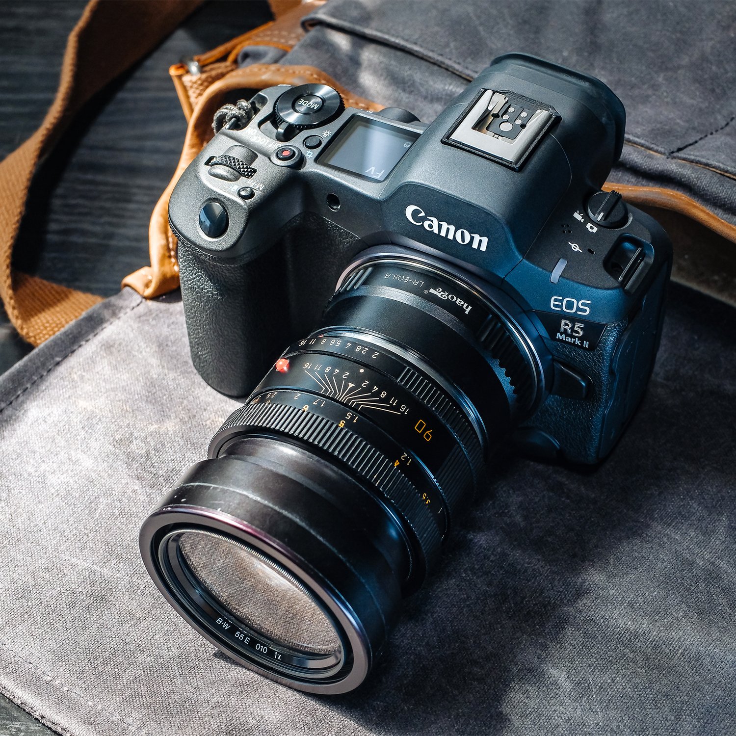 ■美品■Leica SUMMICRON-R 90mm F2 For Nikon改 Leica 90mm f2 Summicron R - Sample Photos